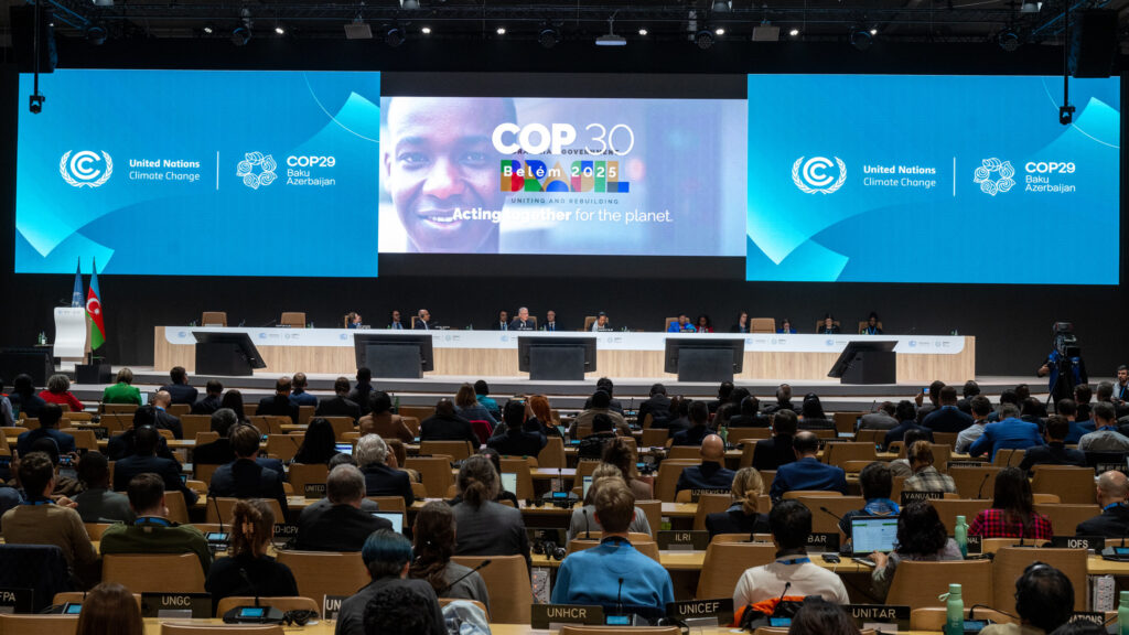 COP 29