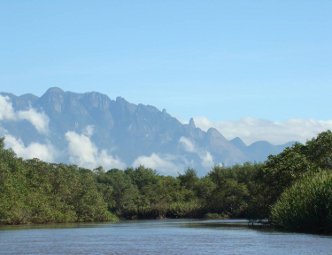 Vegetação da Apa Guapimirim e montanhas ao fundo