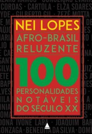 Livro Afro-Brasil reluzente