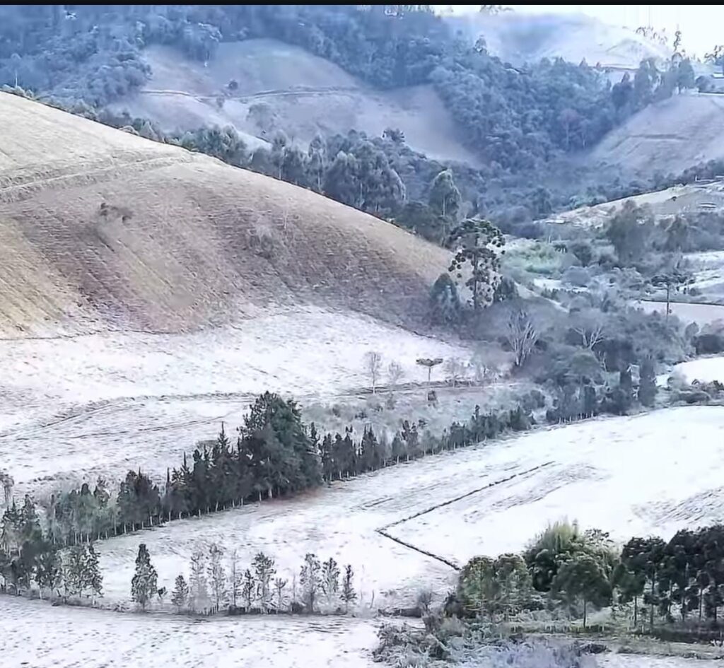 Maria da Fé MG paisagem coberta por cristais de gelo foto WS Consultoria Climatológica