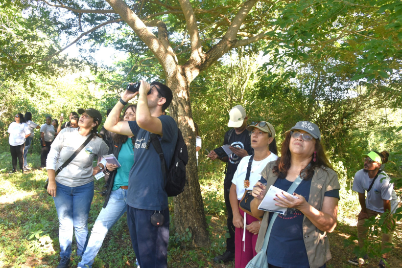 Maricá Silvado trilha para observação de aves