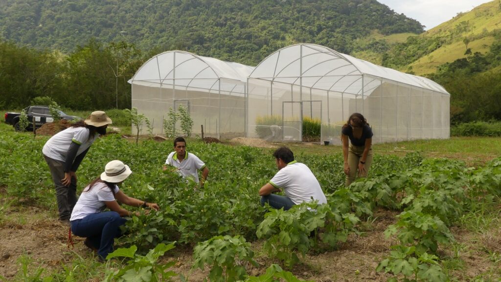 Maricá fazenda produtos fármacos naturais