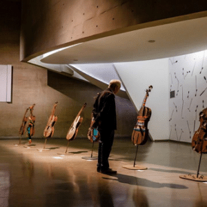 Cellos em exposição na Cidade das Artes (Foto: Divulgação)