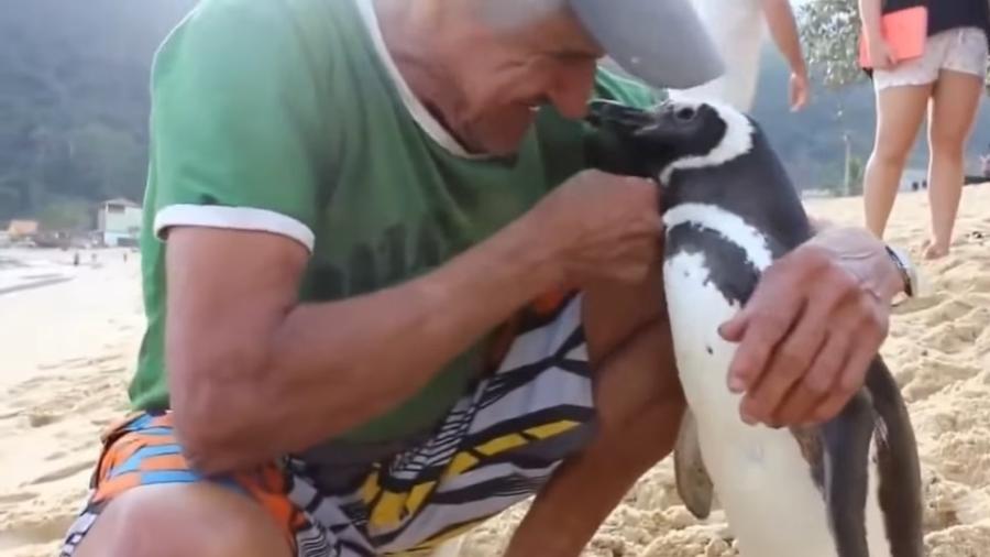 O pescador João e o pinguim Dindin, na Ilha Grande